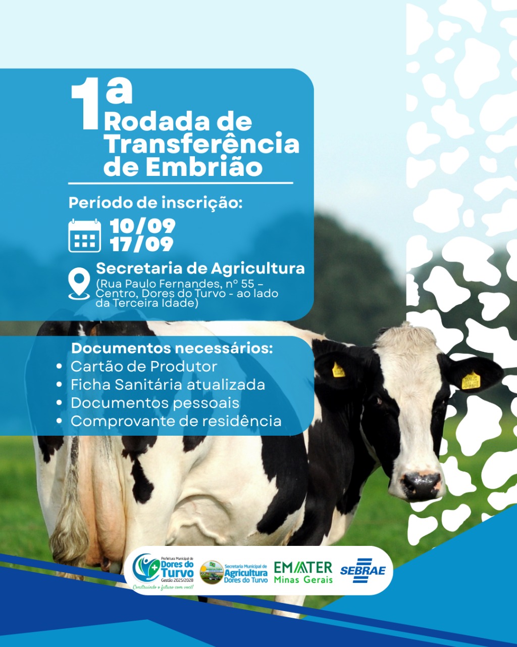 1ª Rodada de Transferência de Embrião